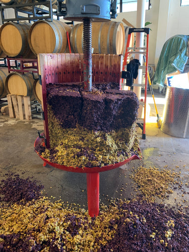 Tasting & Tour