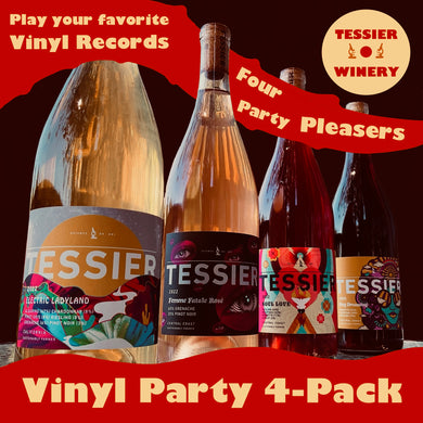 Vinyl Party 4-Pack