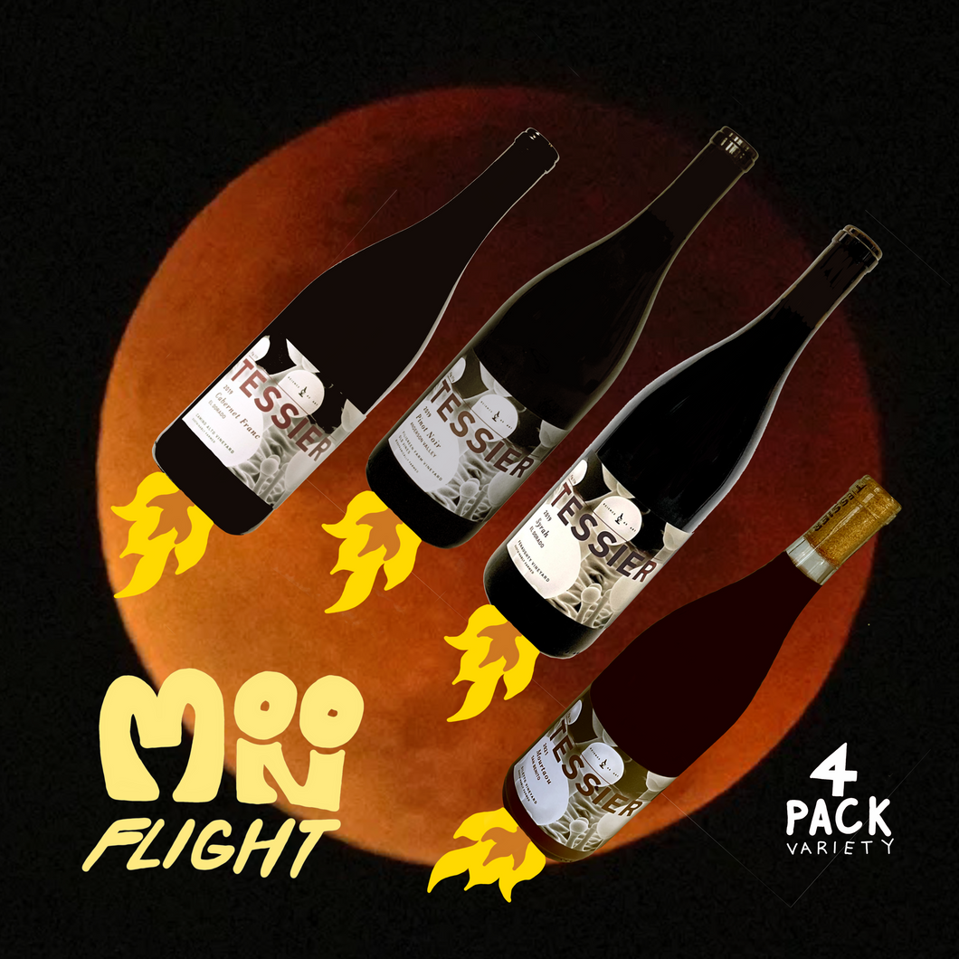 Moon Flight 4-Pack